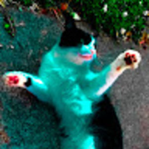 Meet your Posher, Just a thing